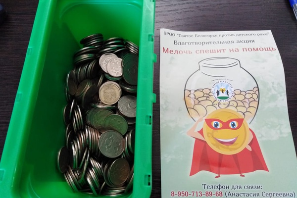 16 627 руб. собрали участники акции "Мелочь спешит на помощь"!