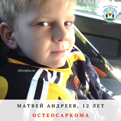 Андреев Матвей