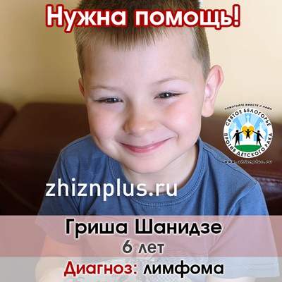 Шанидзе Гриша
